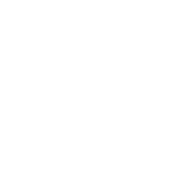 The LinkedIn Logo